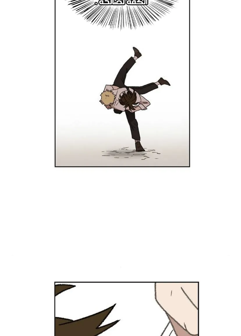 Read The Boxer AR Manga Online