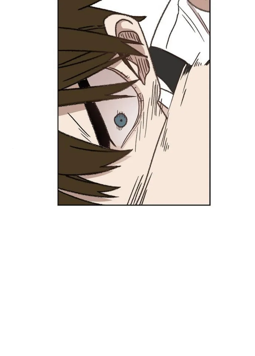 Read The Boxer AR Manga Online