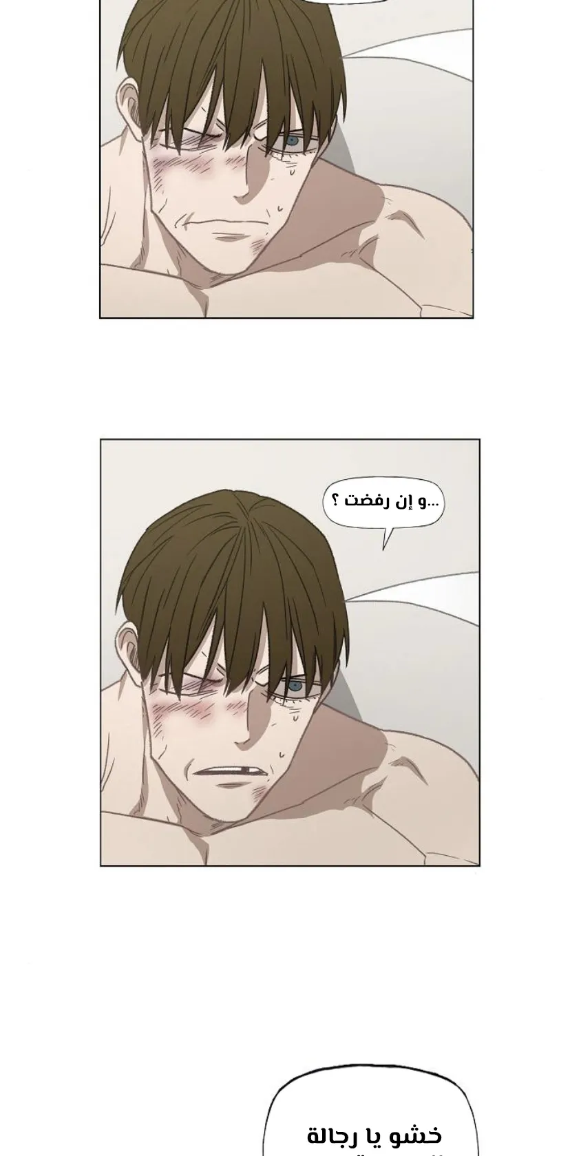 Read The Boxer AR Manga Online