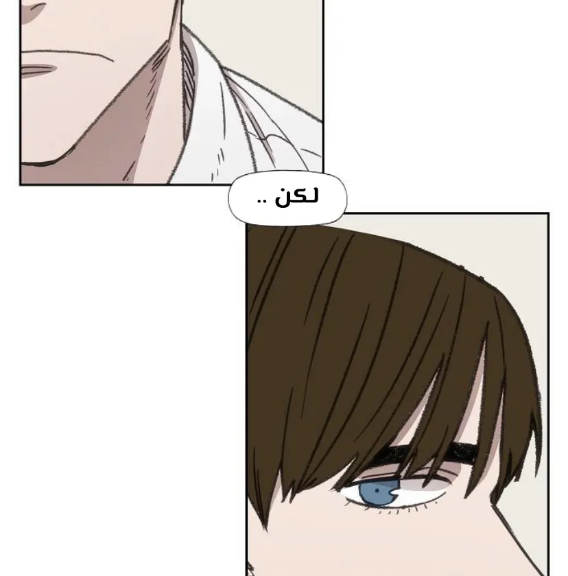 Read The Boxer AR Manga Online