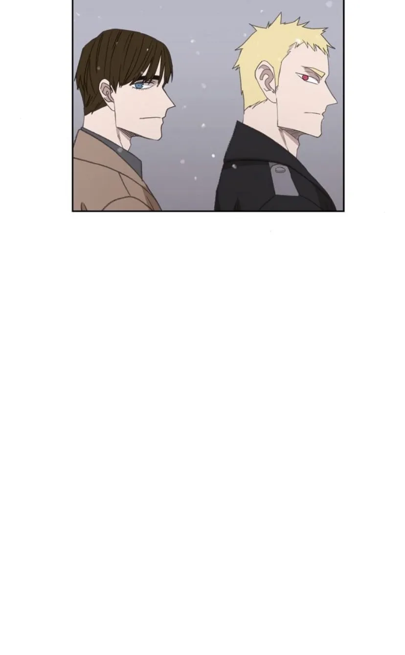 Read The Boxer AR Manga Online
