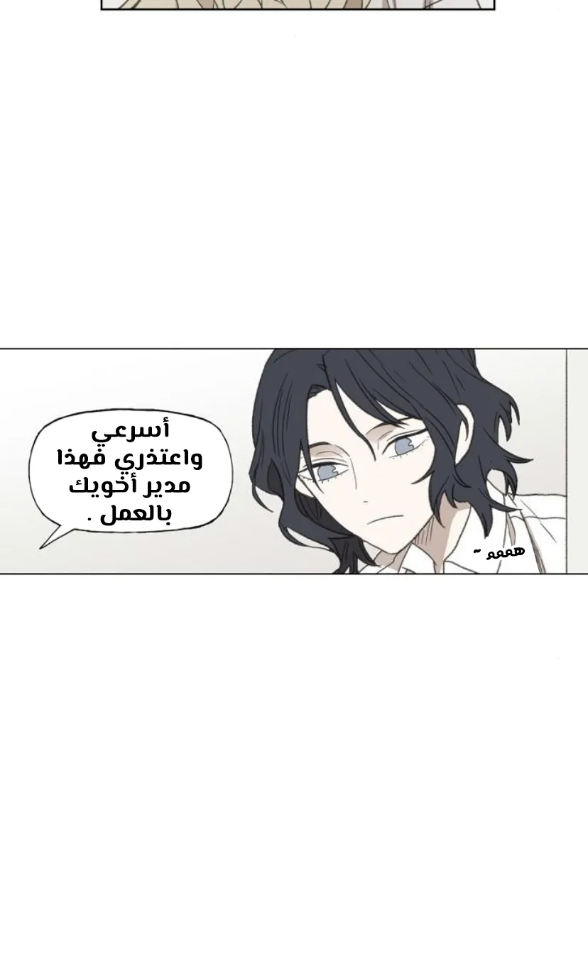 Read The Boxer AR Manga Online