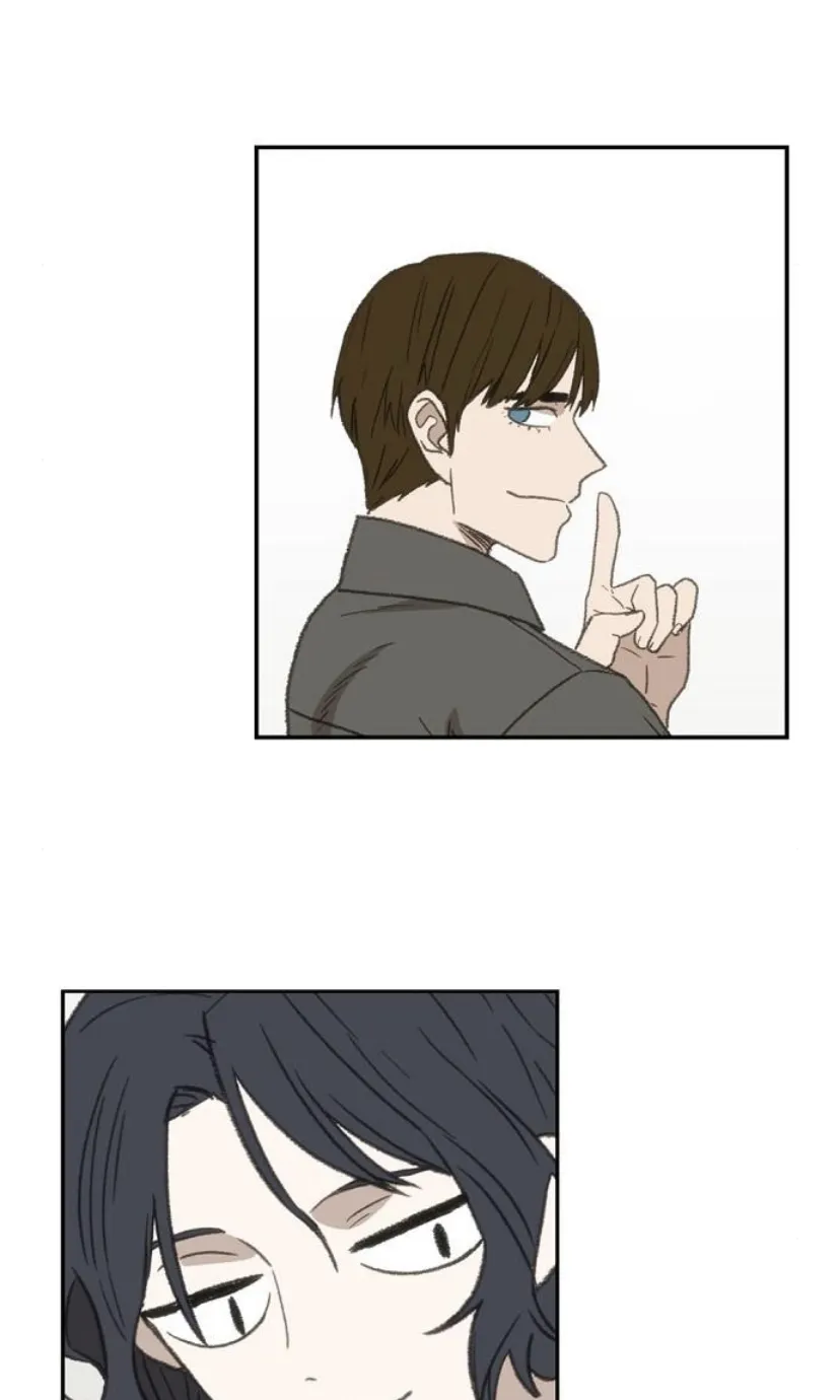 Read The Boxer AR Manga Online