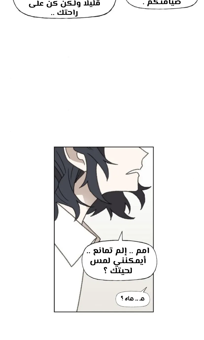 Read The Boxer AR Manga Online