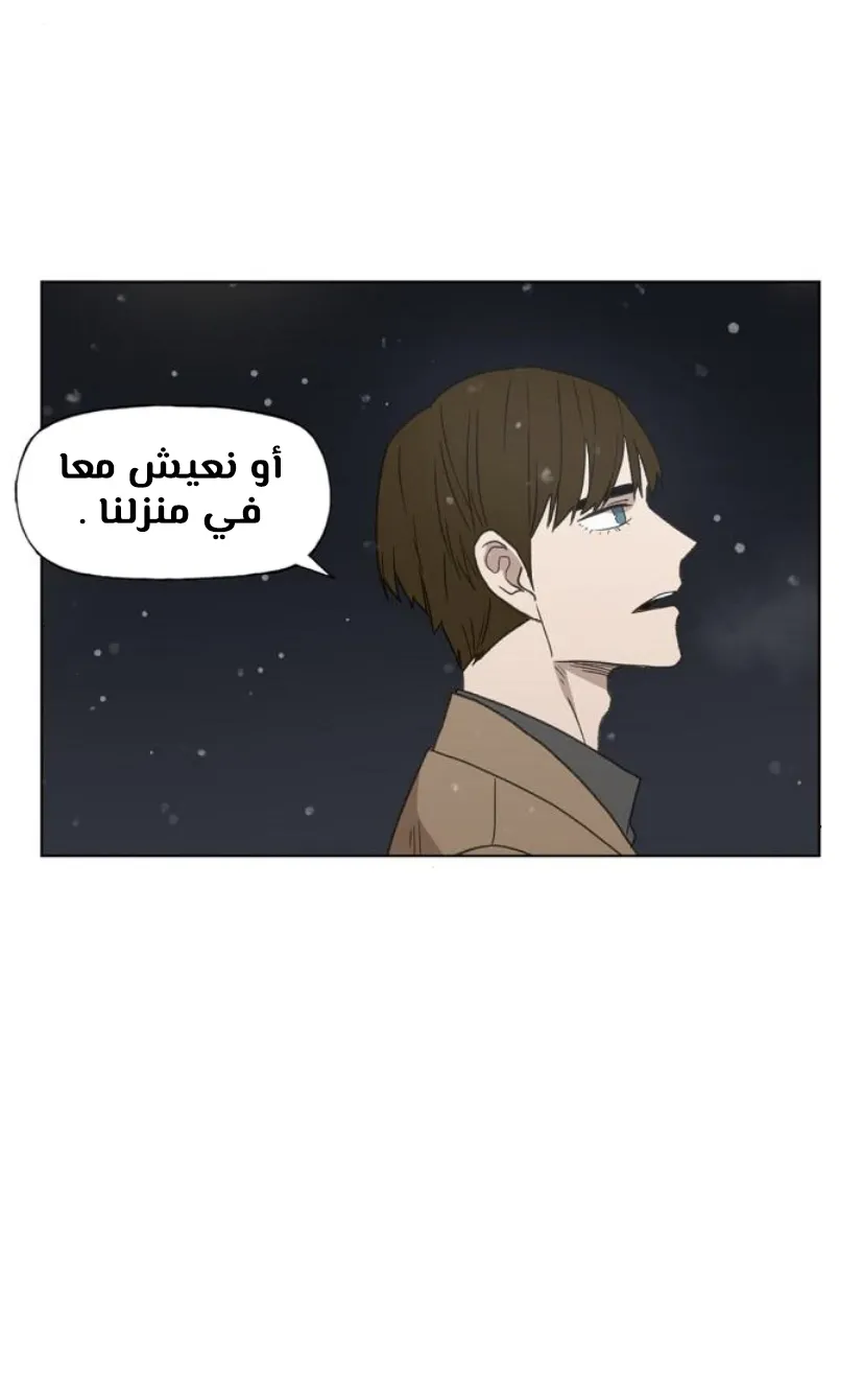 Read The Boxer AR Manga Online