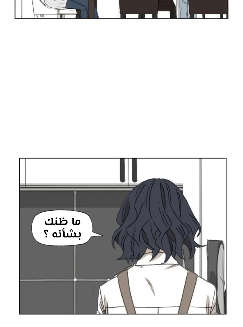 Read The Boxer AR Manga Online