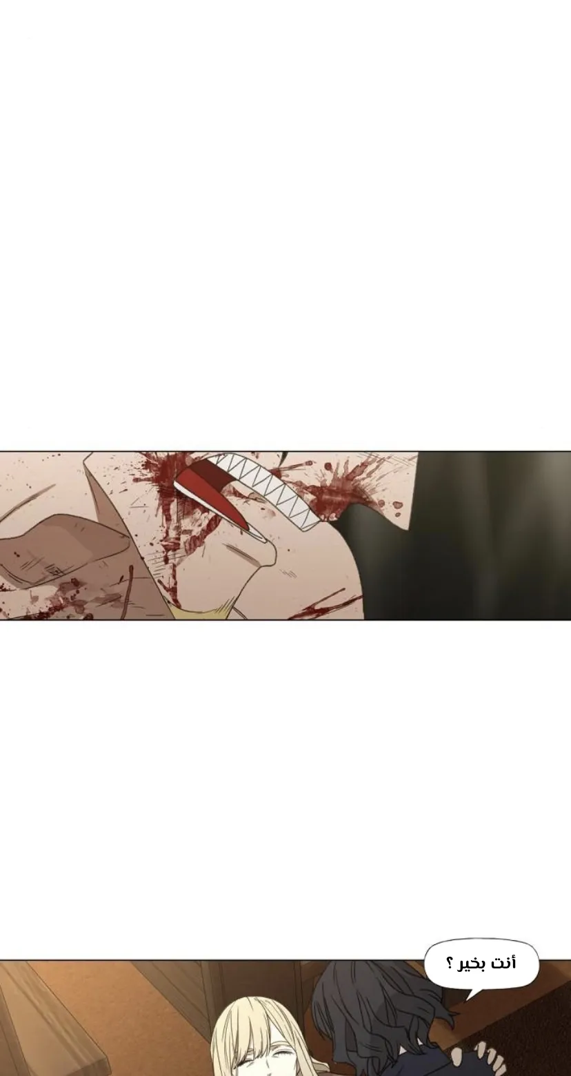 Read The Boxer AR Manga Online