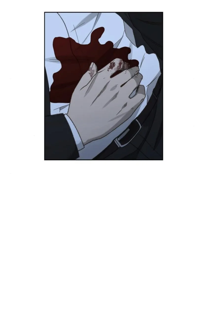 Read The Boxer AR Manga Online
