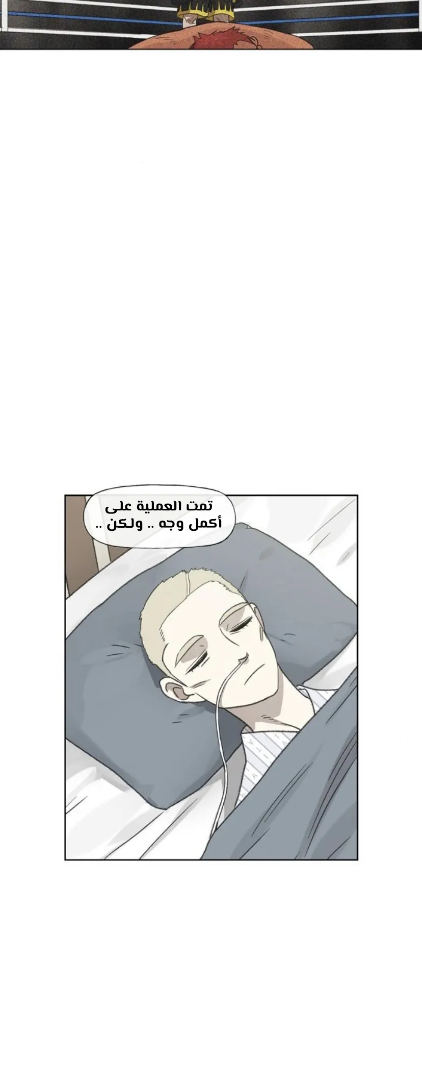 Read The Boxer AR Manga Online