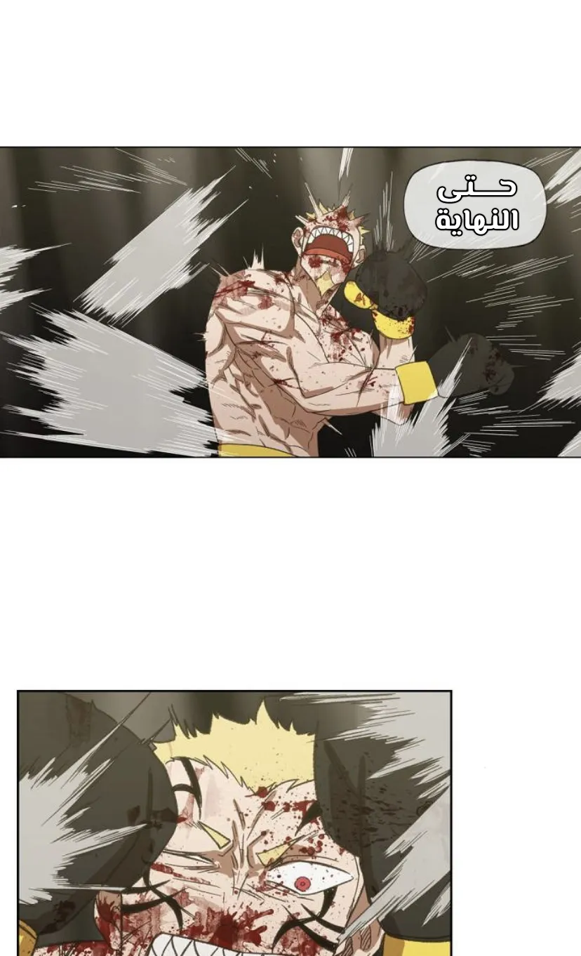Read The Boxer AR Manga Online