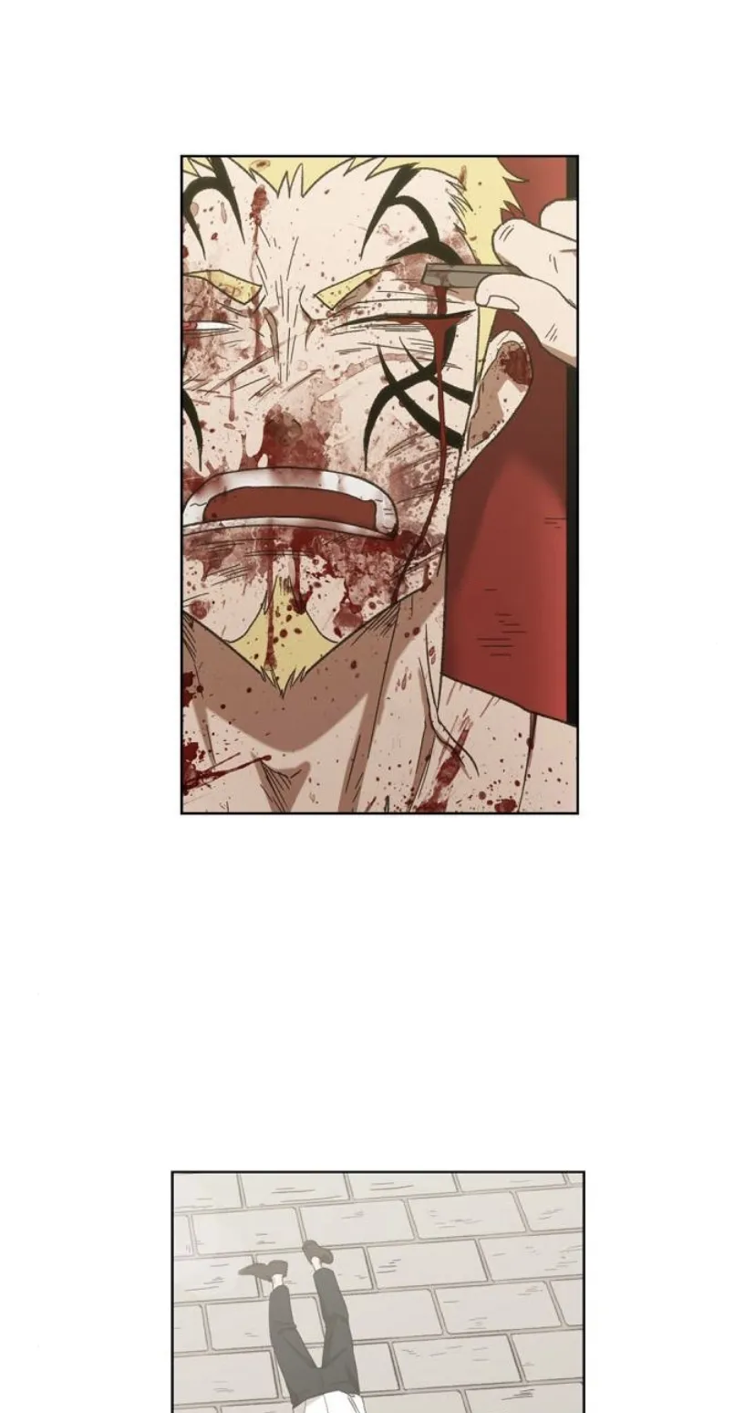 Read The Boxer AR Manga Online