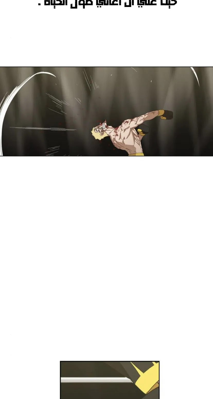 Read The Boxer AR Manga Online