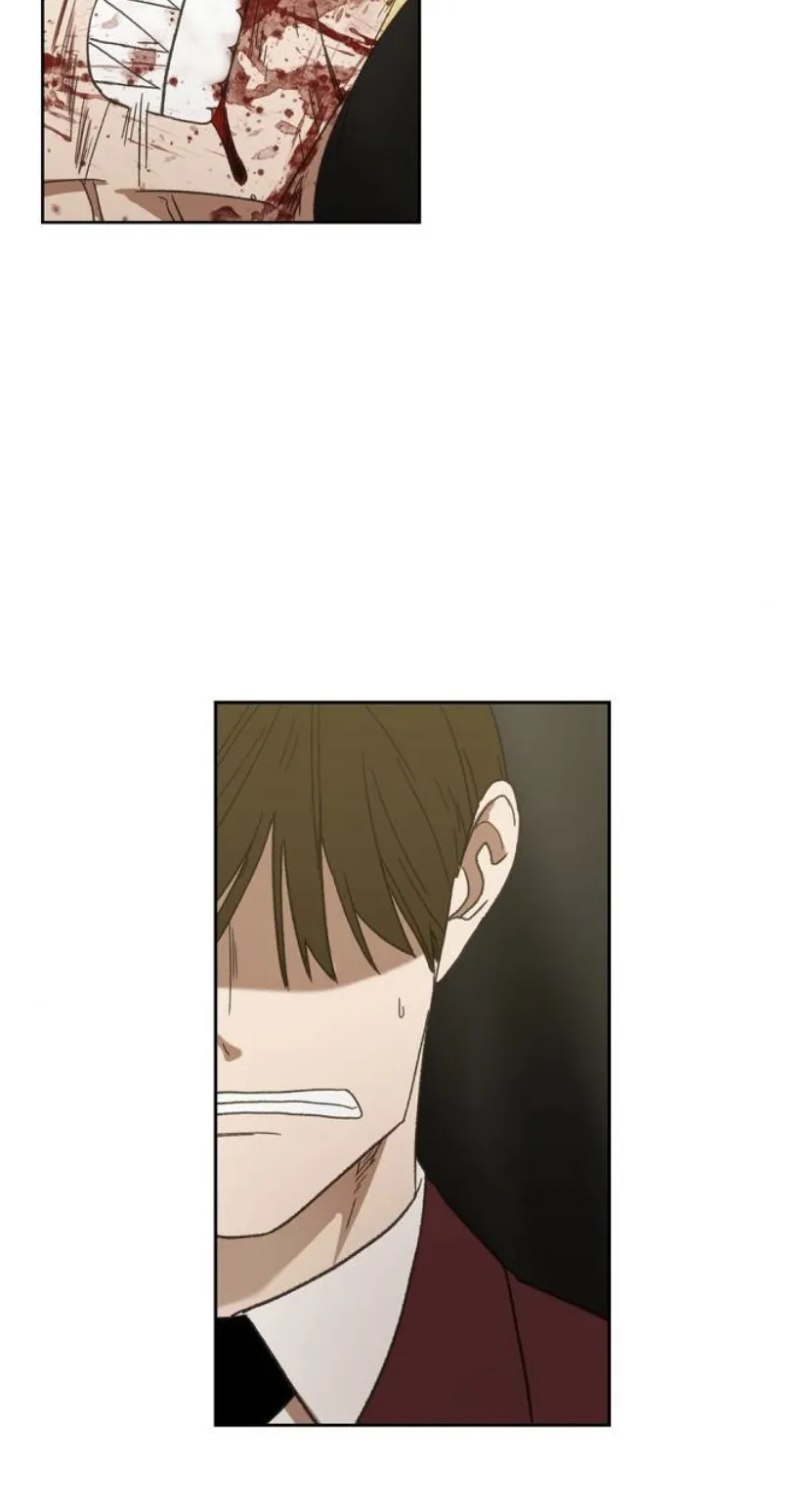 Read The Boxer AR Manga Online