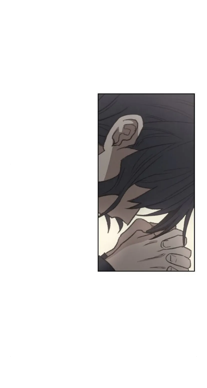 Read The Boxer AR Manga Online