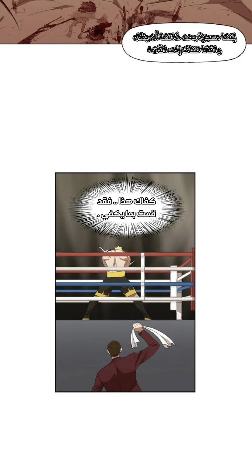 Read The Boxer AR Manga Online