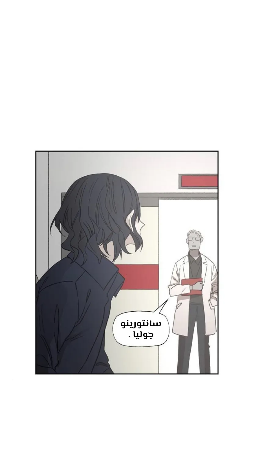 Read The Boxer AR Manga Online