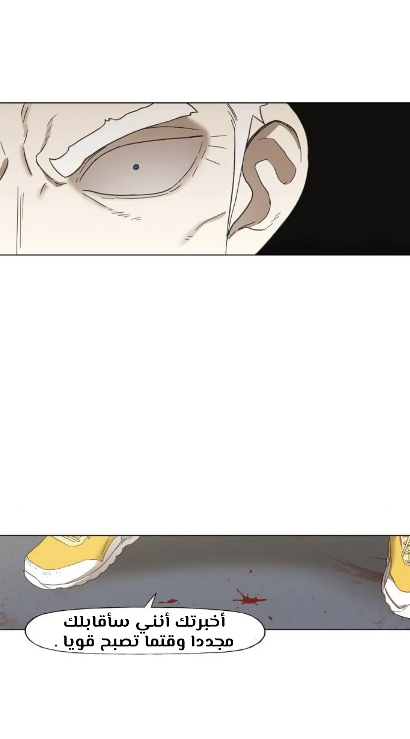 Read The Boxer AR Manga Online