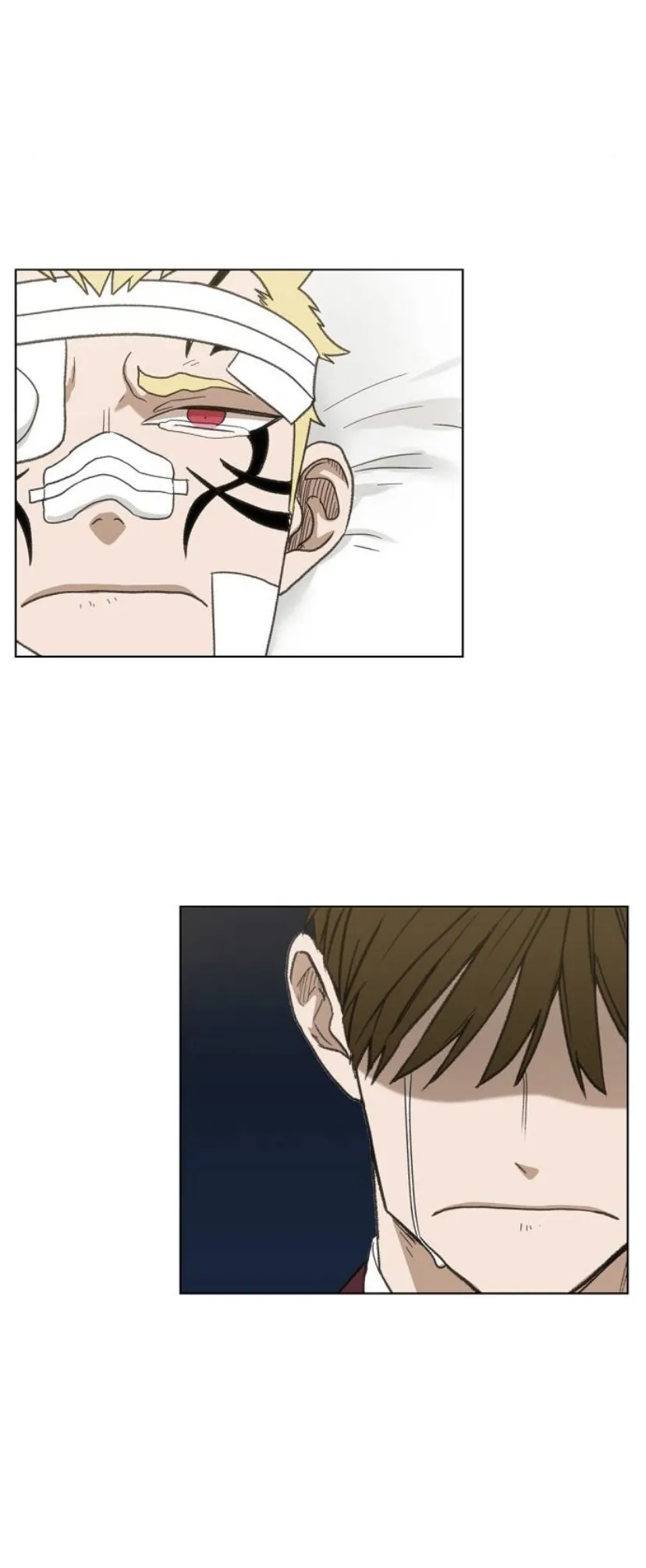 Read The Boxer AR Manga Online