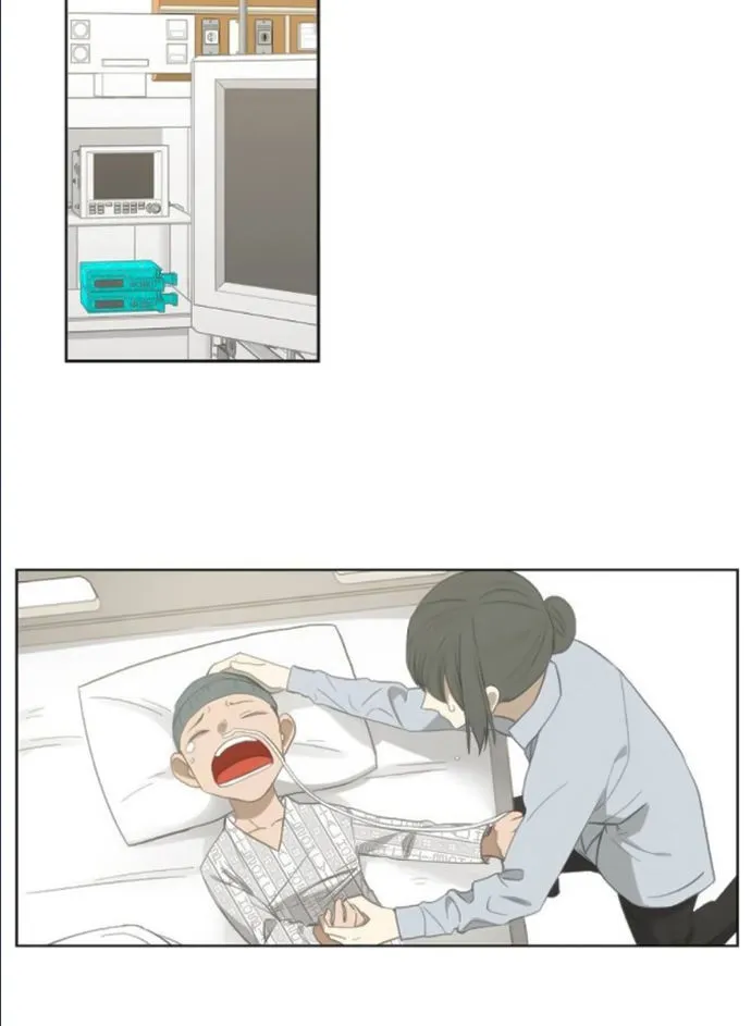 Read The Boxer AR Manga Online