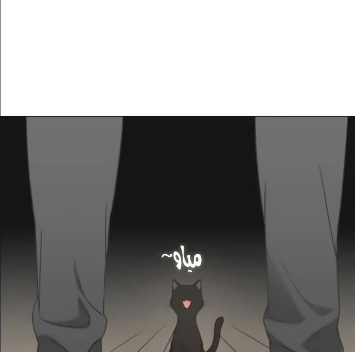 Read The Boxer AR Manga Online