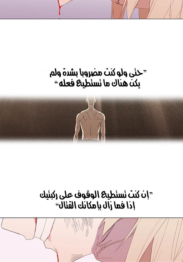 Read The Boxer AR Manga Online
