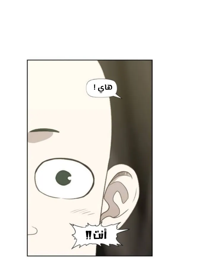 Read The Boxer AR Manga Online
