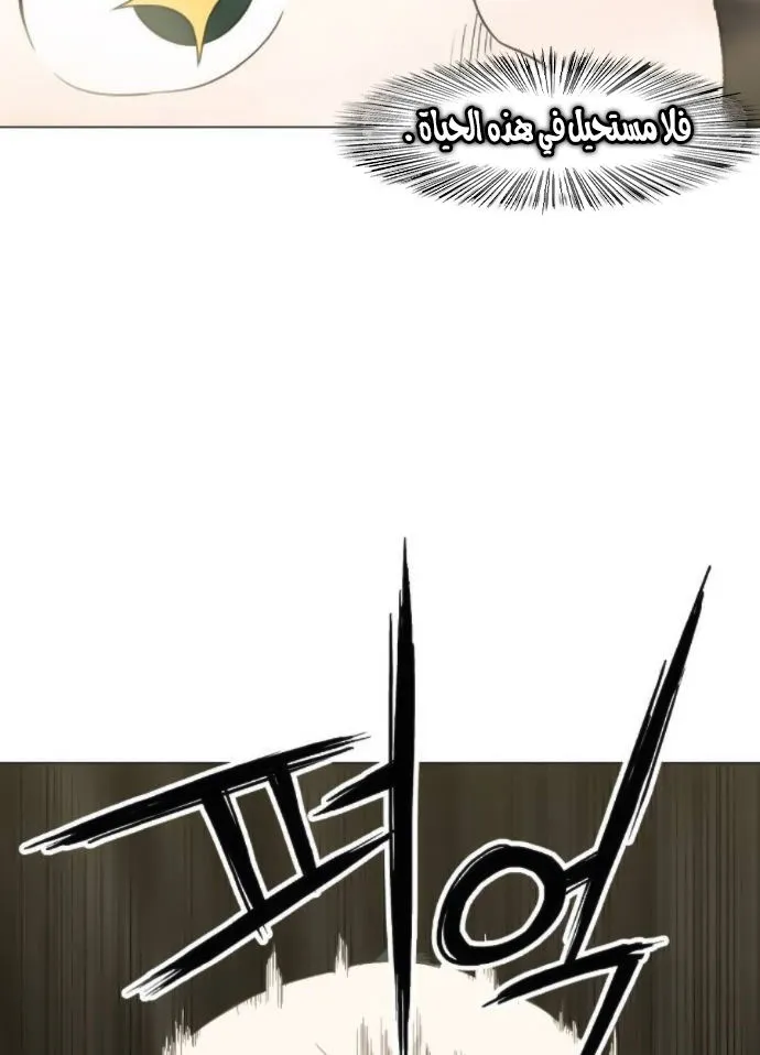 Read The Boxer AR Manga Online