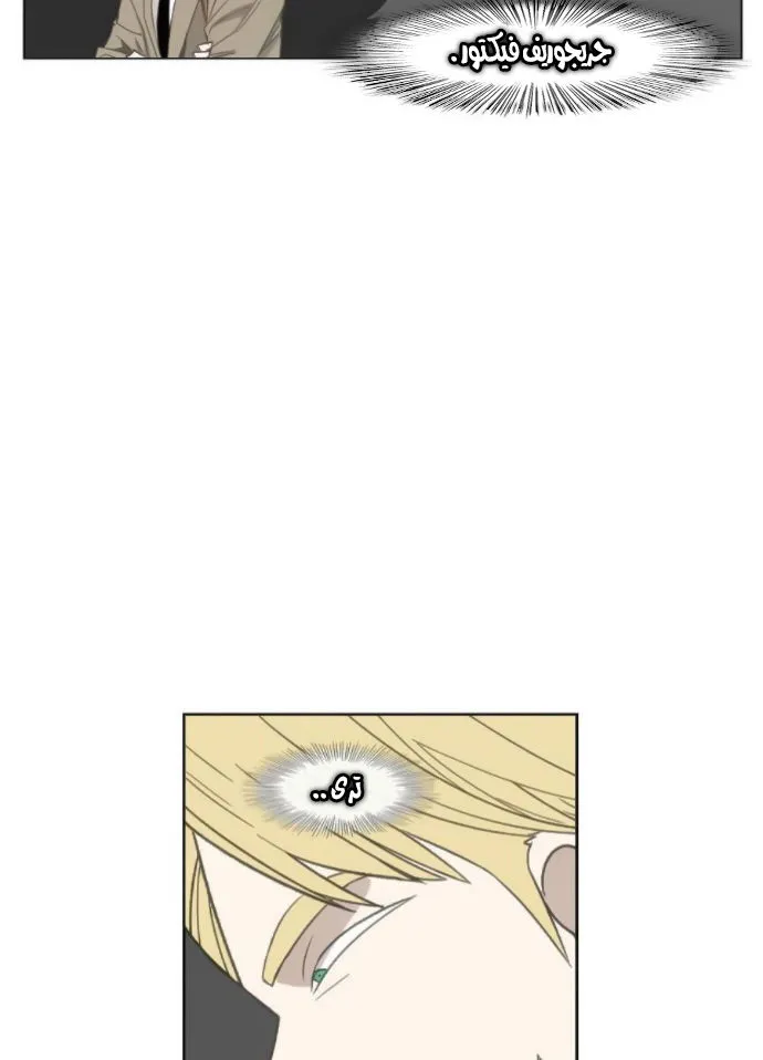 Read The Boxer AR Manga Online
