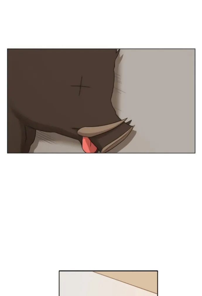Read The Boxer AR Manga Online