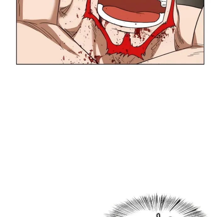 Read The Boxer AR Manga Online