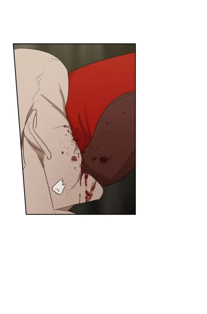 Read The Boxer AR Manga Online
