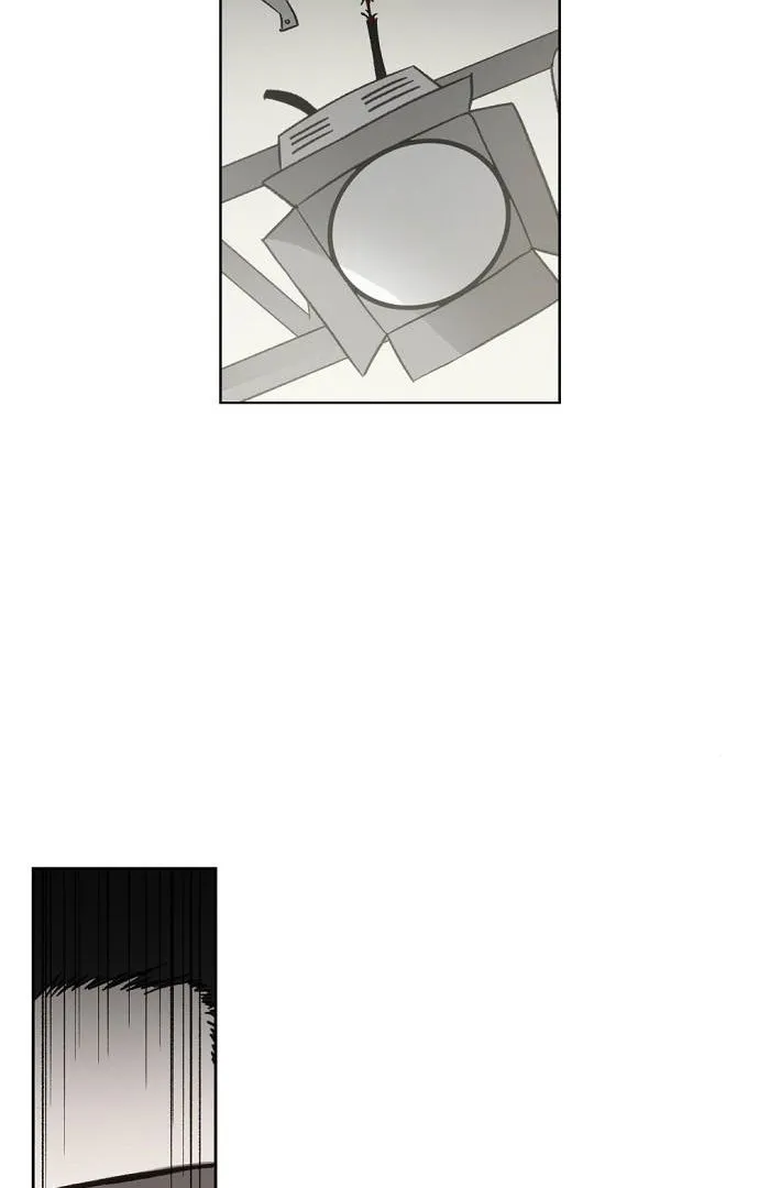 Read The Boxer AR Manga Online
