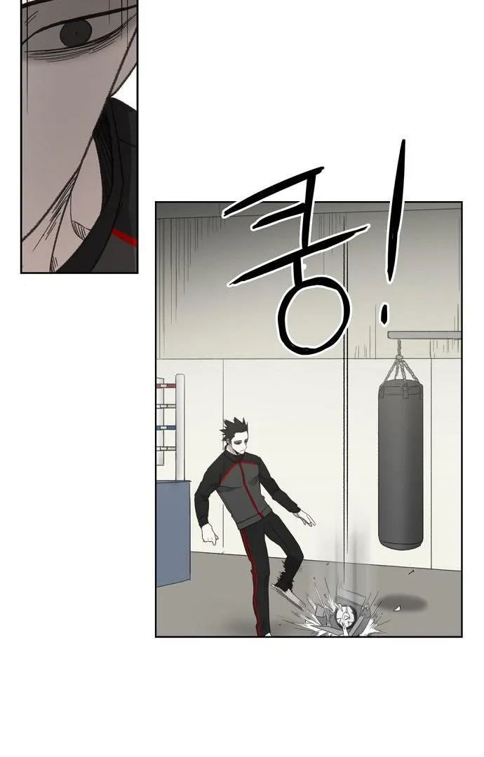 Read The Boxer AR Manga Online