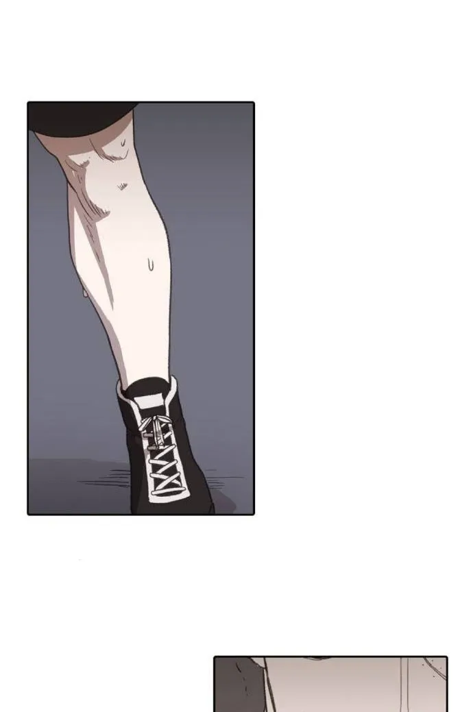 Read The Boxer AR Manga Online