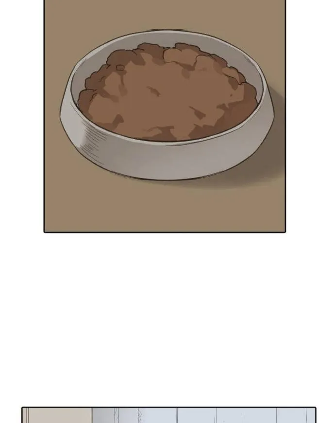 Read The Boxer AR Manga Online