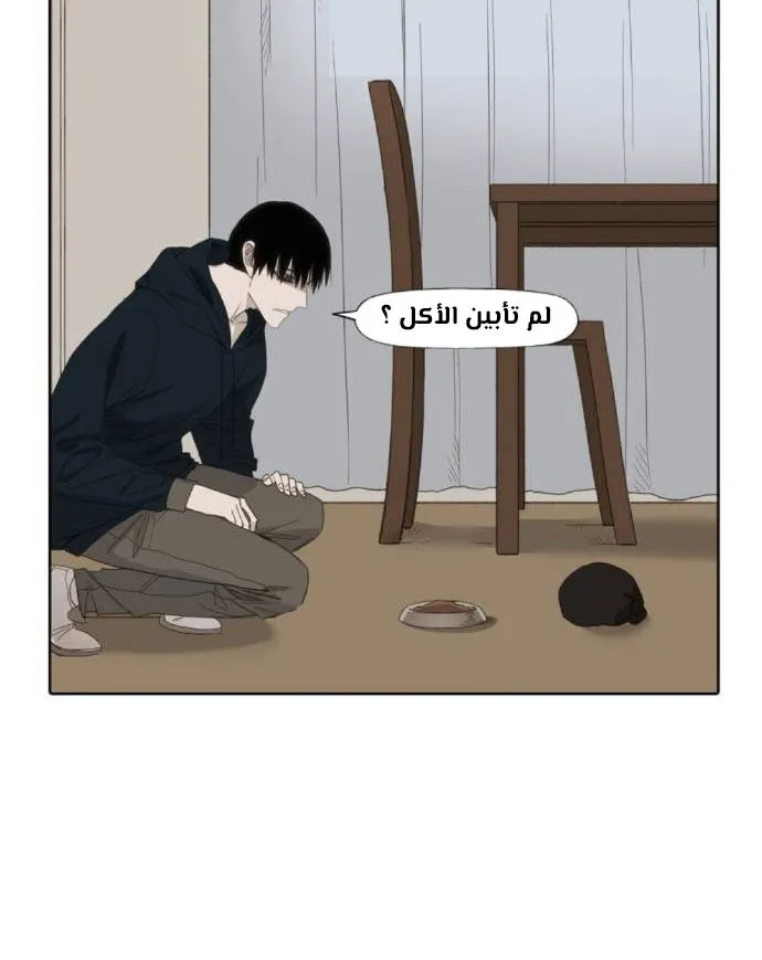 Read The Boxer AR Manga Online