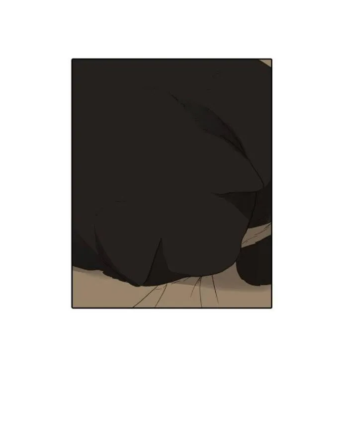 Read The Boxer AR Manga Online