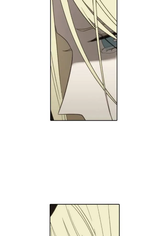 Read The Boxer AR Manga Online