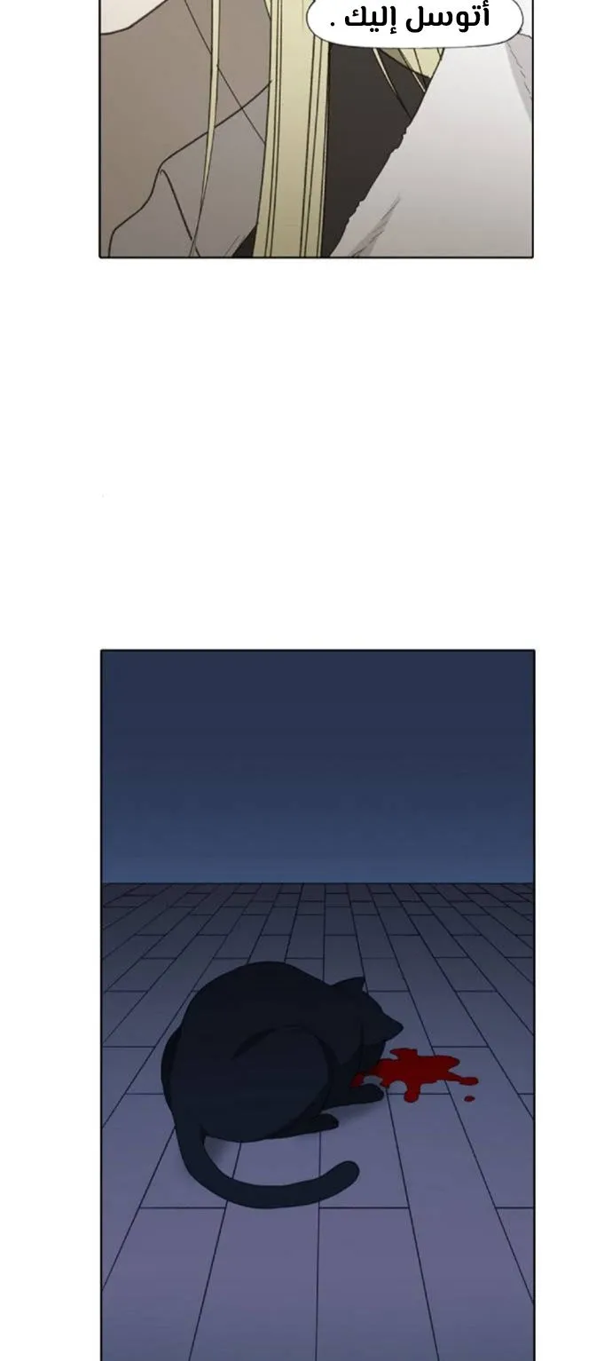 Read The Boxer AR Manga Online