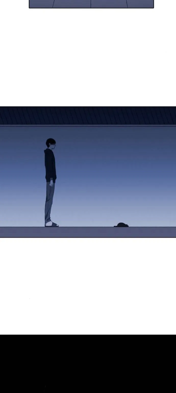 Read The Boxer AR Manga Online