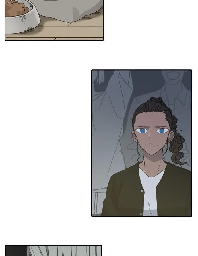 Read The Boxer AR Manga Online