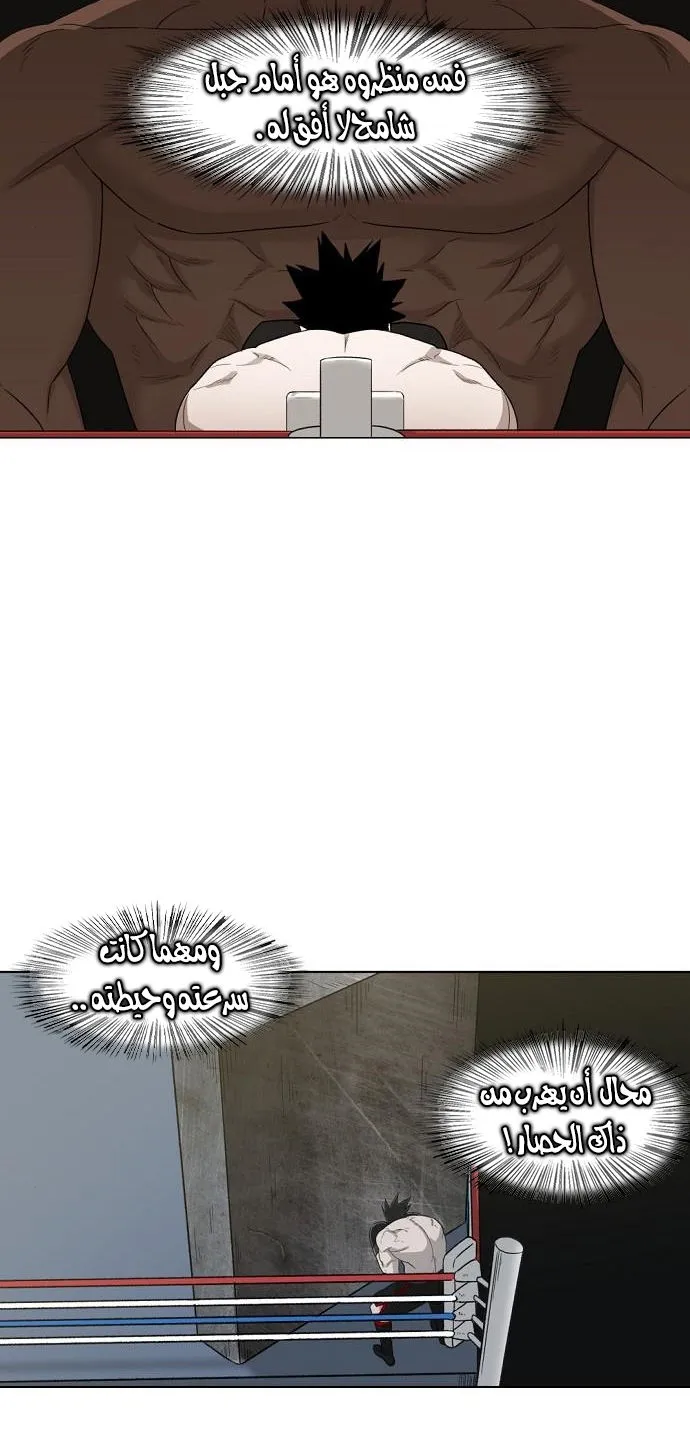 Read The Boxer AR Manga Online