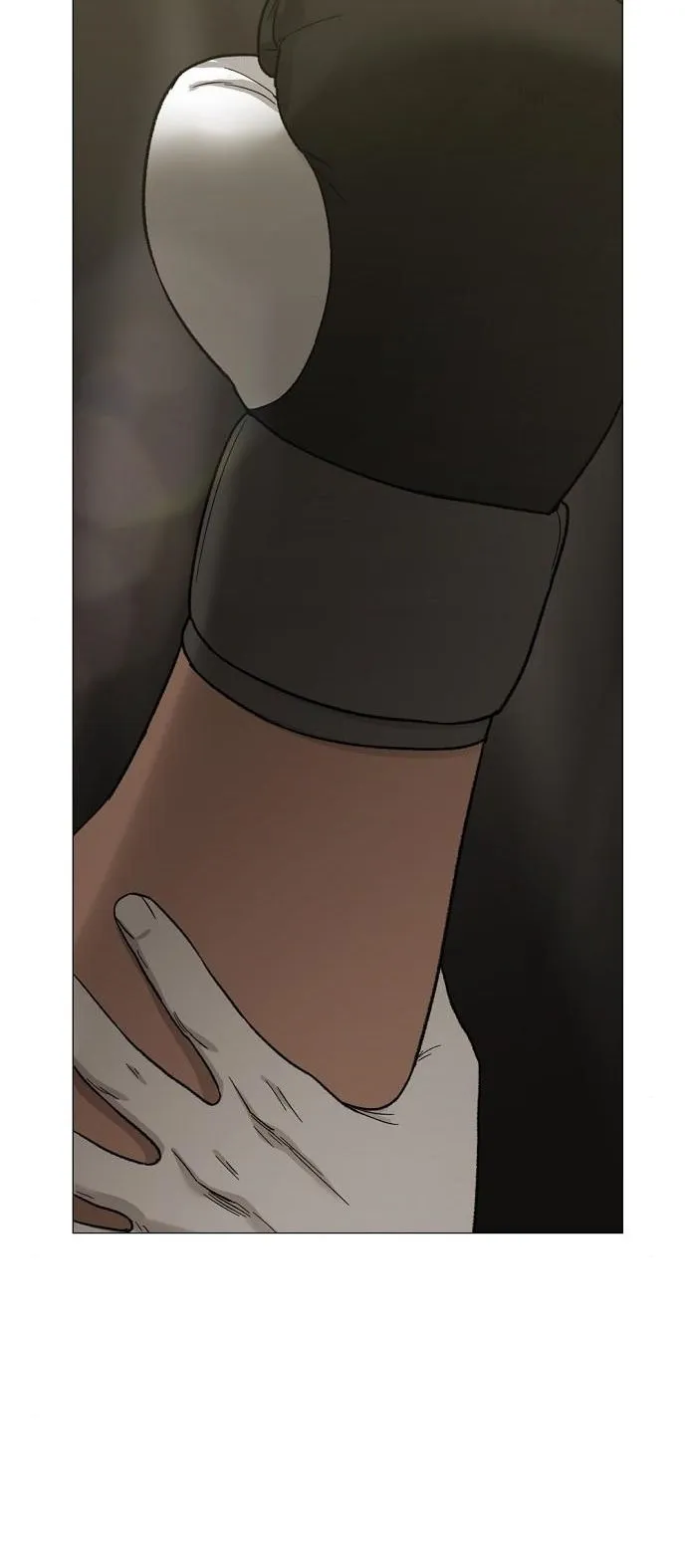 Read The Boxer AR Manga Online