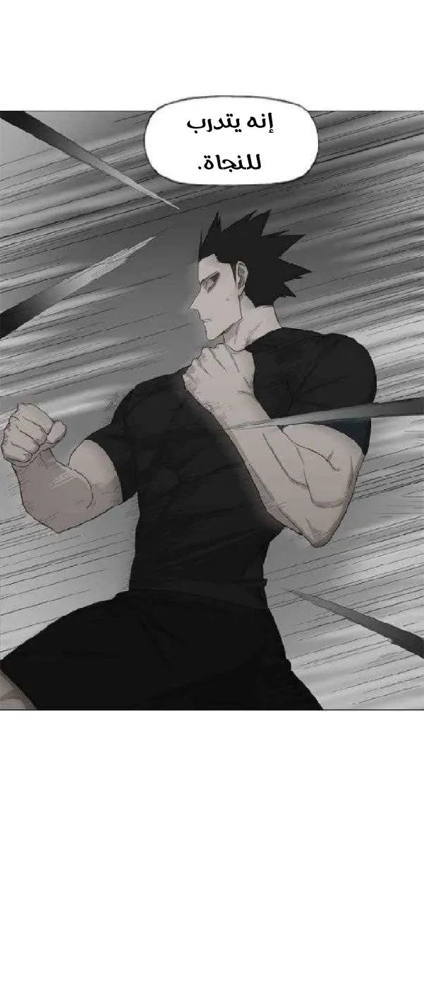 Read The Boxer AR Manga Online