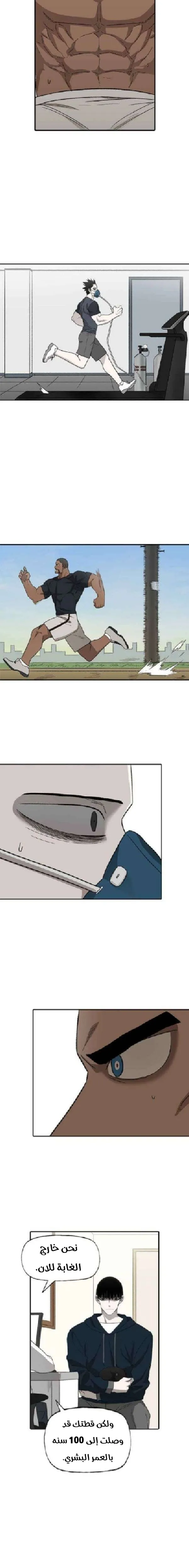 Read The Boxer AR Manga Online