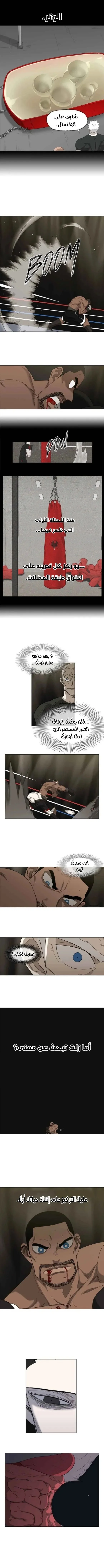 Read The Boxer AR Manga Online