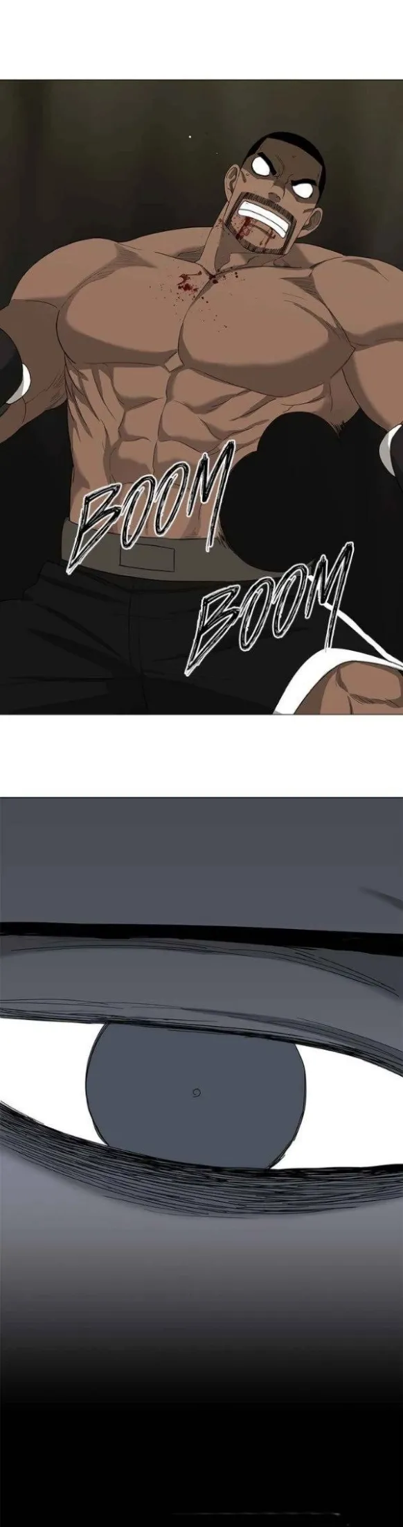 Read The Boxer AR Manga Online