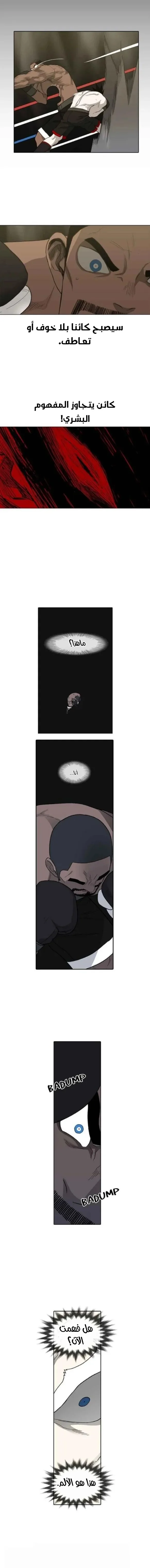 Read The Boxer AR Manga Online