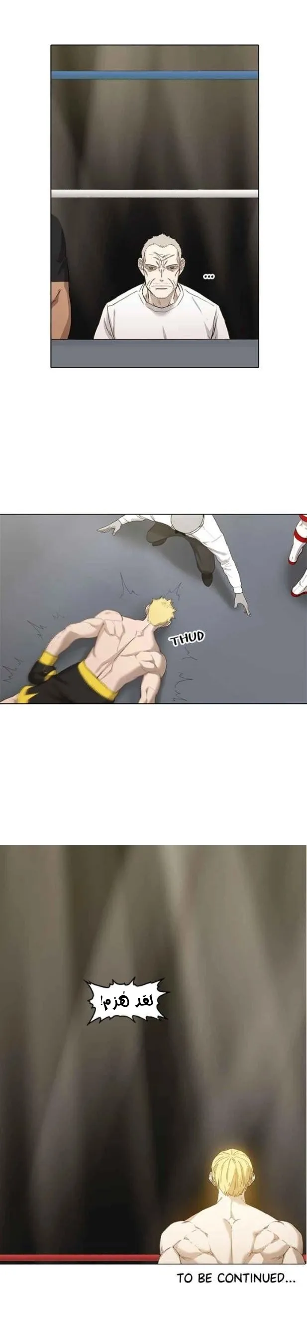 Read The Boxer AR Manga Online
