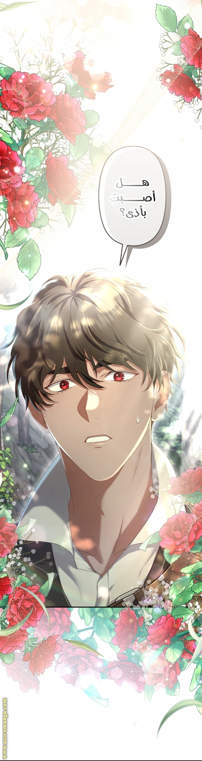 Read The Brunette’s Reaper AR Manga Online